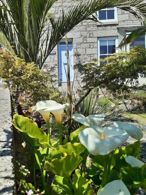 Corvus - Beautiful Cottage Half A Mile From Mousehole Hikkaduwa Dış mekan fotoğraf